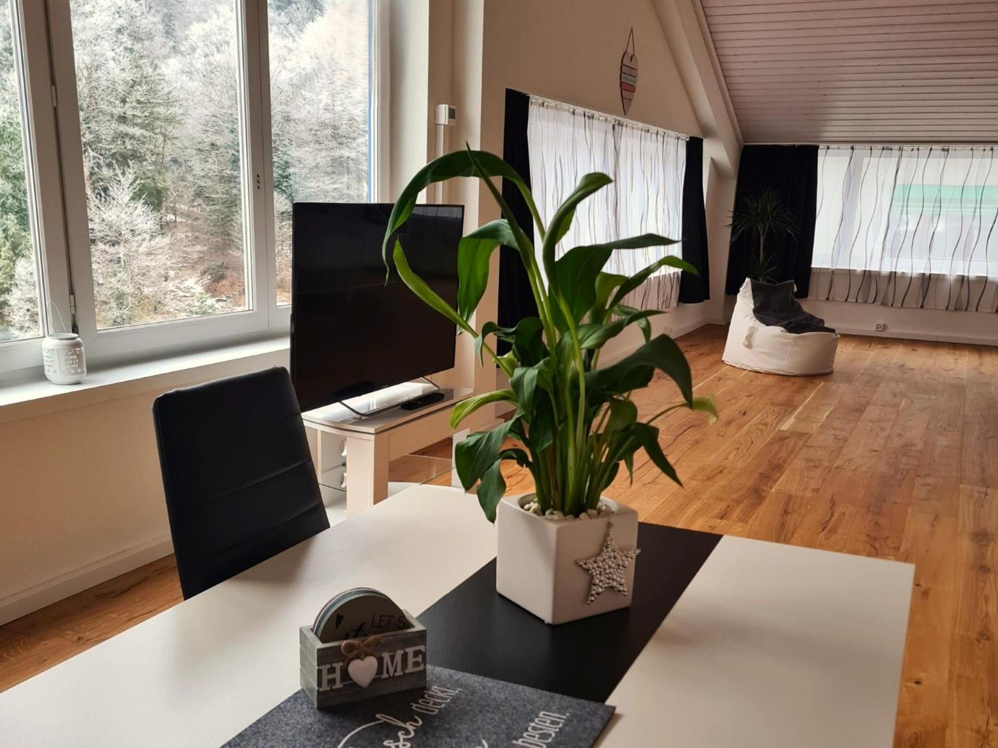 Muotathal Muota River Loft & Muota Industry Apartment Near Stoos מראה חיצוני תמונה